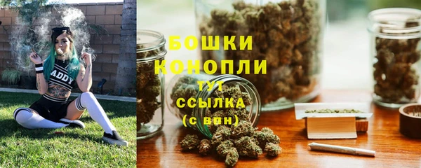 дживик Володарск