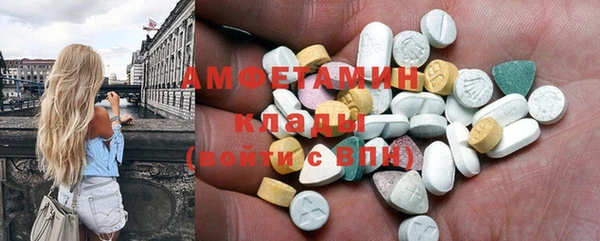 дживик Володарск